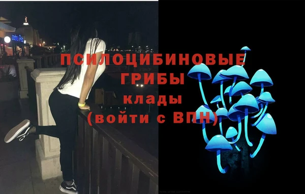 прущий лед Дмитров
