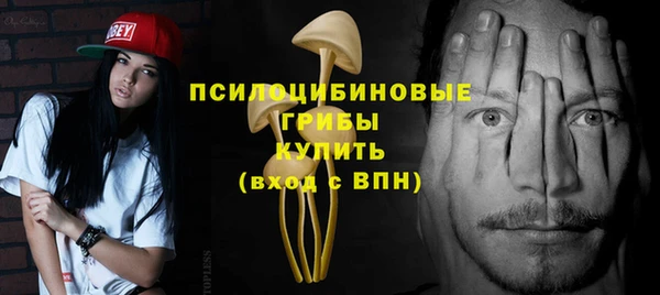 прущий лед Дмитров