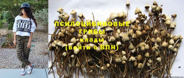 прущая мука Дмитриев